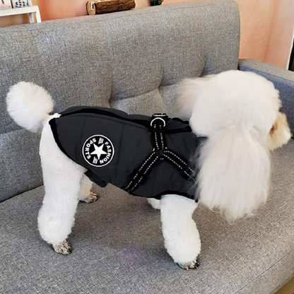 Hundejacke für kleine Hunde