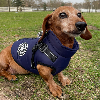 Hundejacke Blau