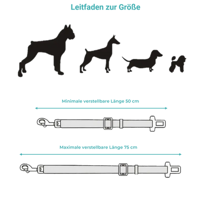 Anschnallgurt für Hunde