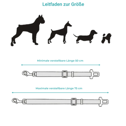 Anschnallgurt für Hunde