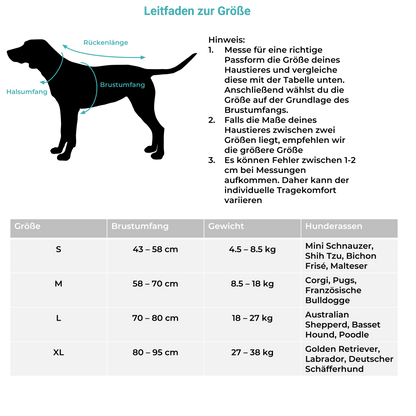 Welches Geschirr für welchen Hund?